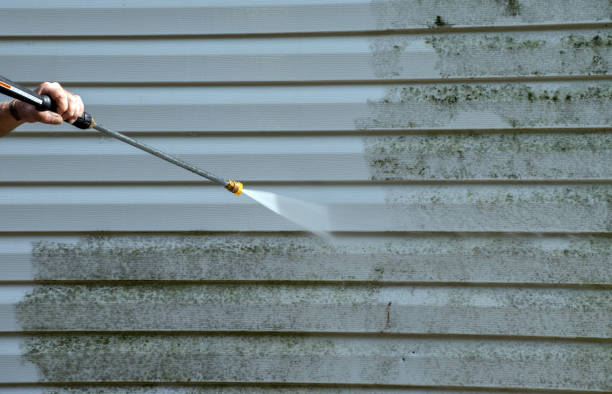 Best Gutter Cleaning  in Combine, TX